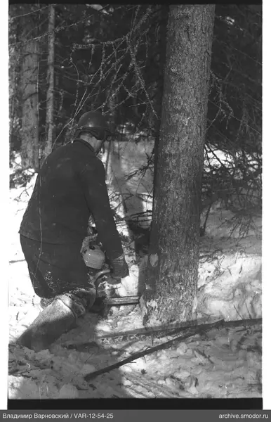 Mann mit Motorsäge am Baum