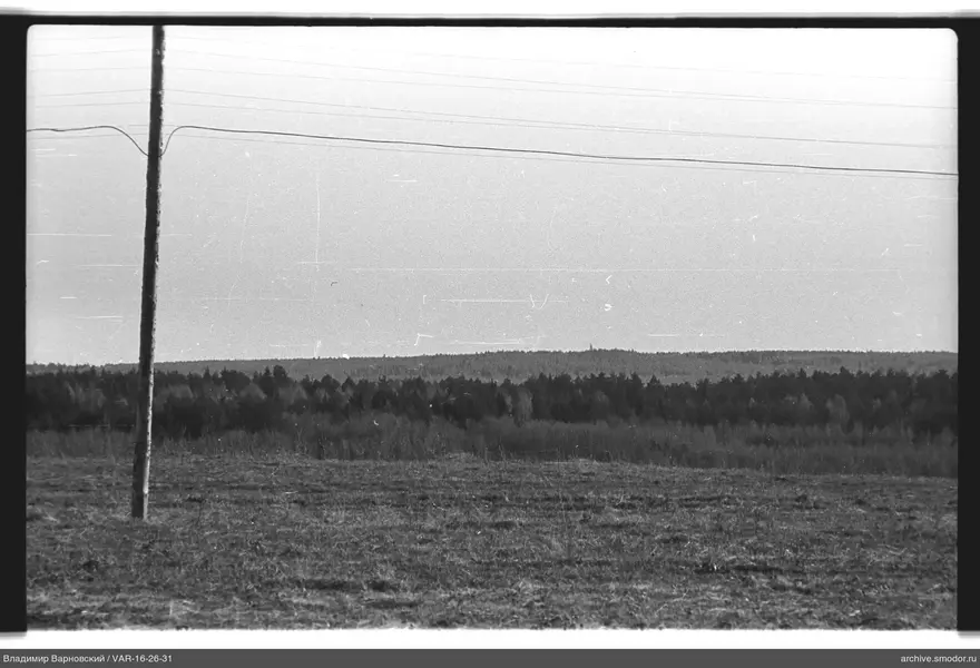Landschaft mit Feld und Wald
