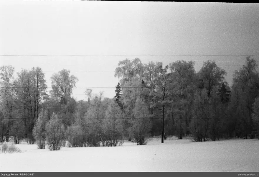 Landschaft mit Schneefeld und Bäumen