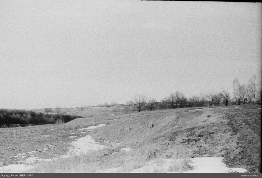 Übersicht über offene Landschaft mit Feld und Bäumen