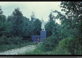 VAR-13-31-4
