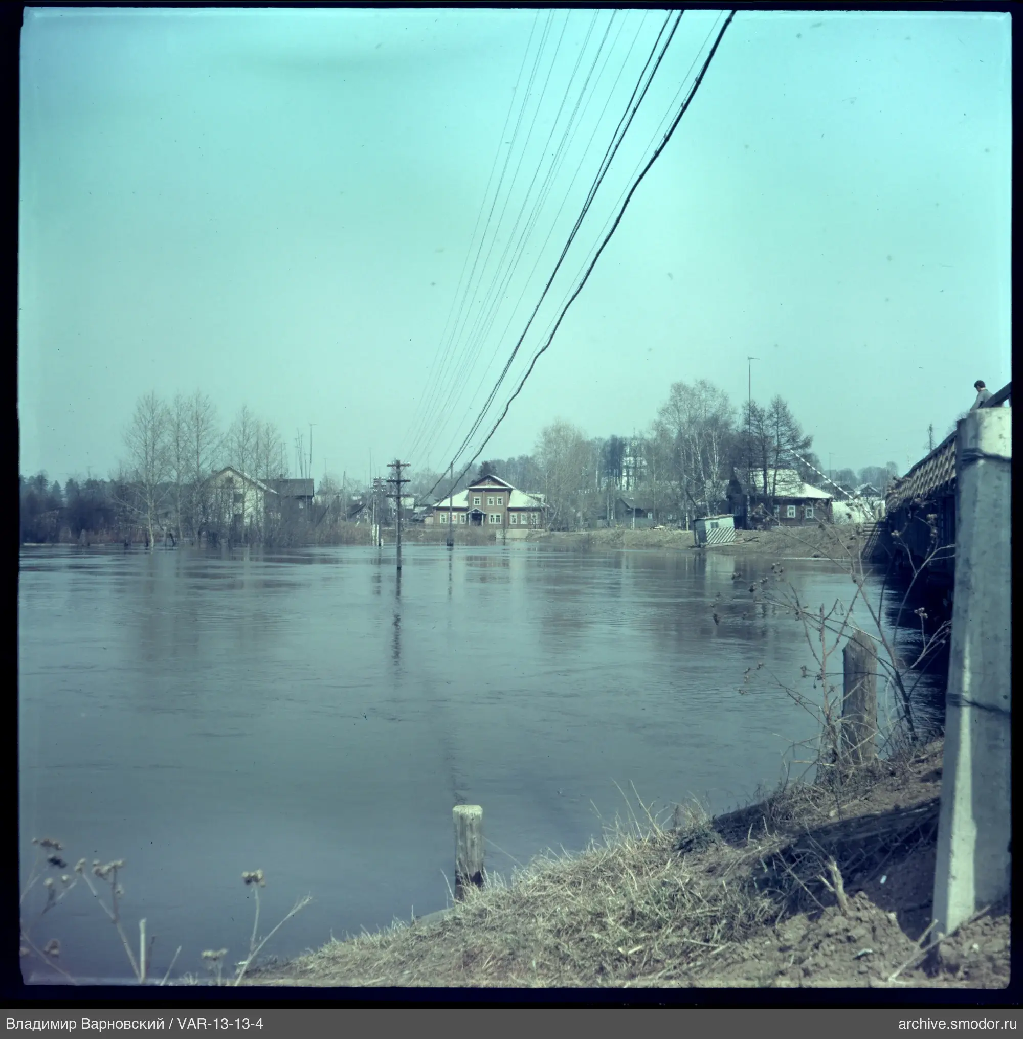 Fluss mit überschwemmten Bäumen und Brücke