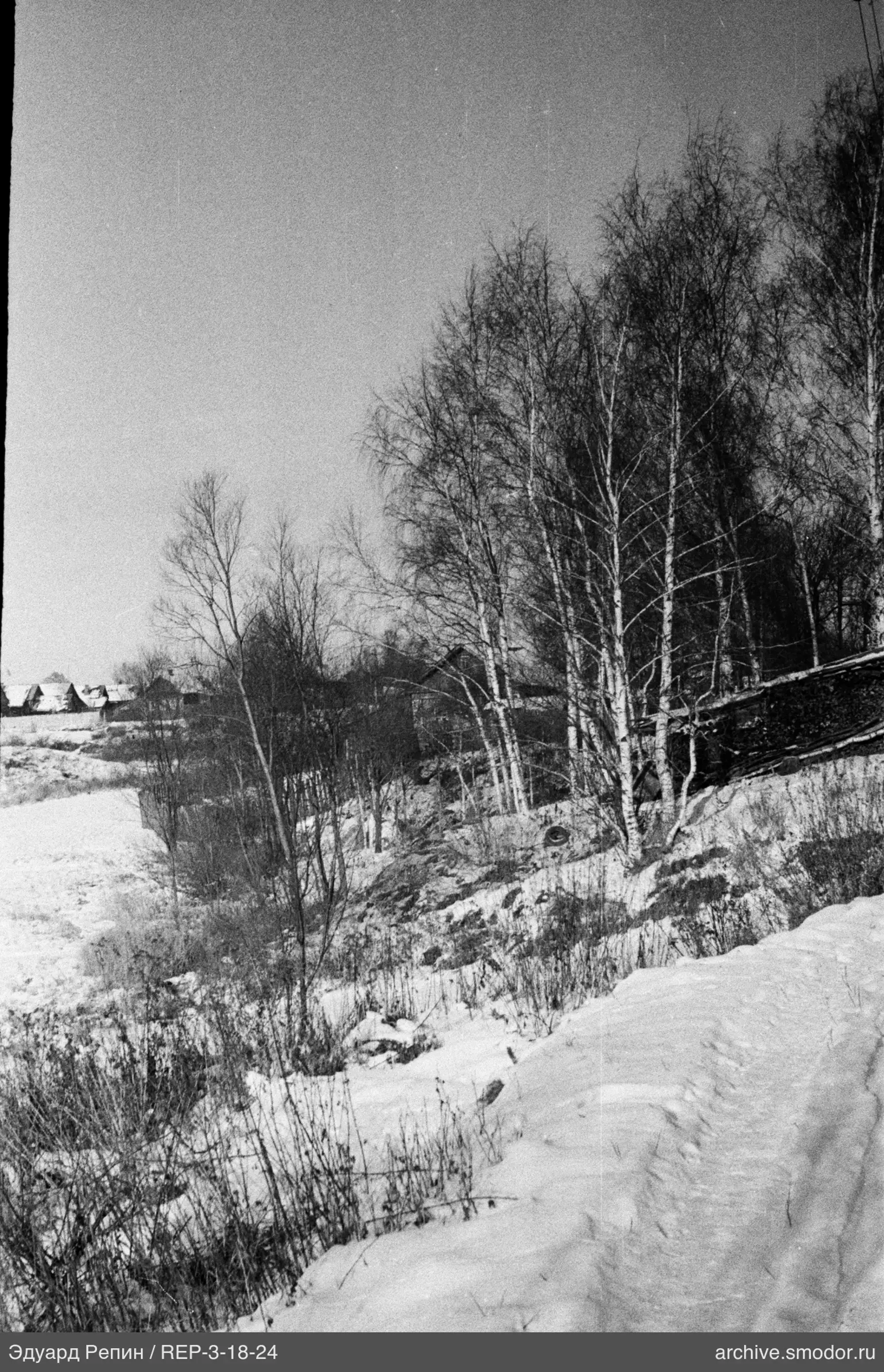Verschneiter Hang mit Birken und Weg