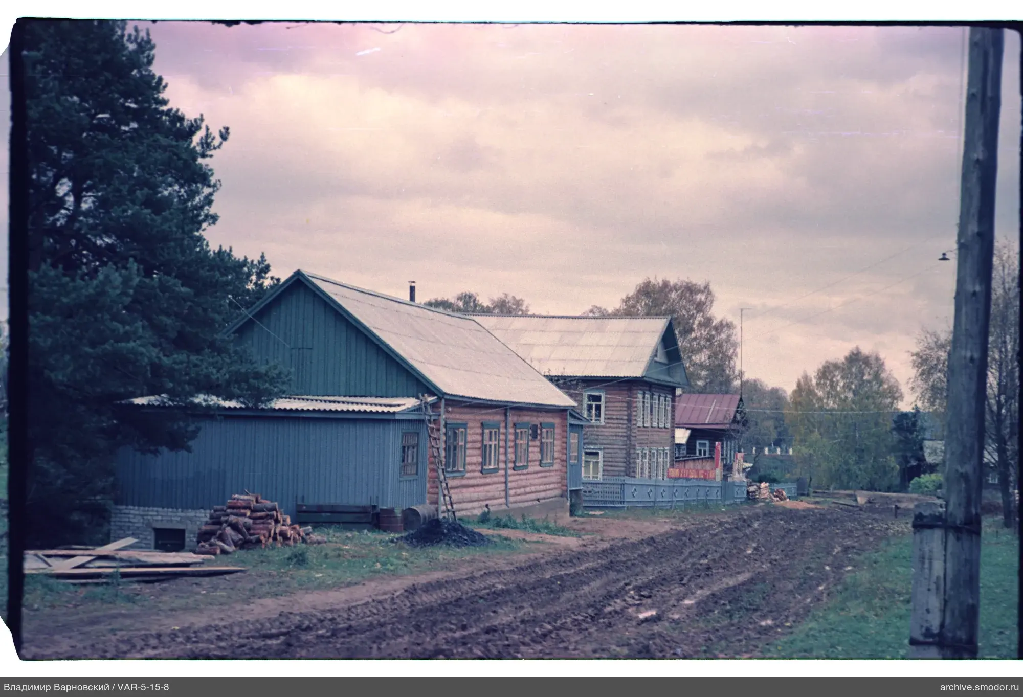 Wooden houses and forest landscape