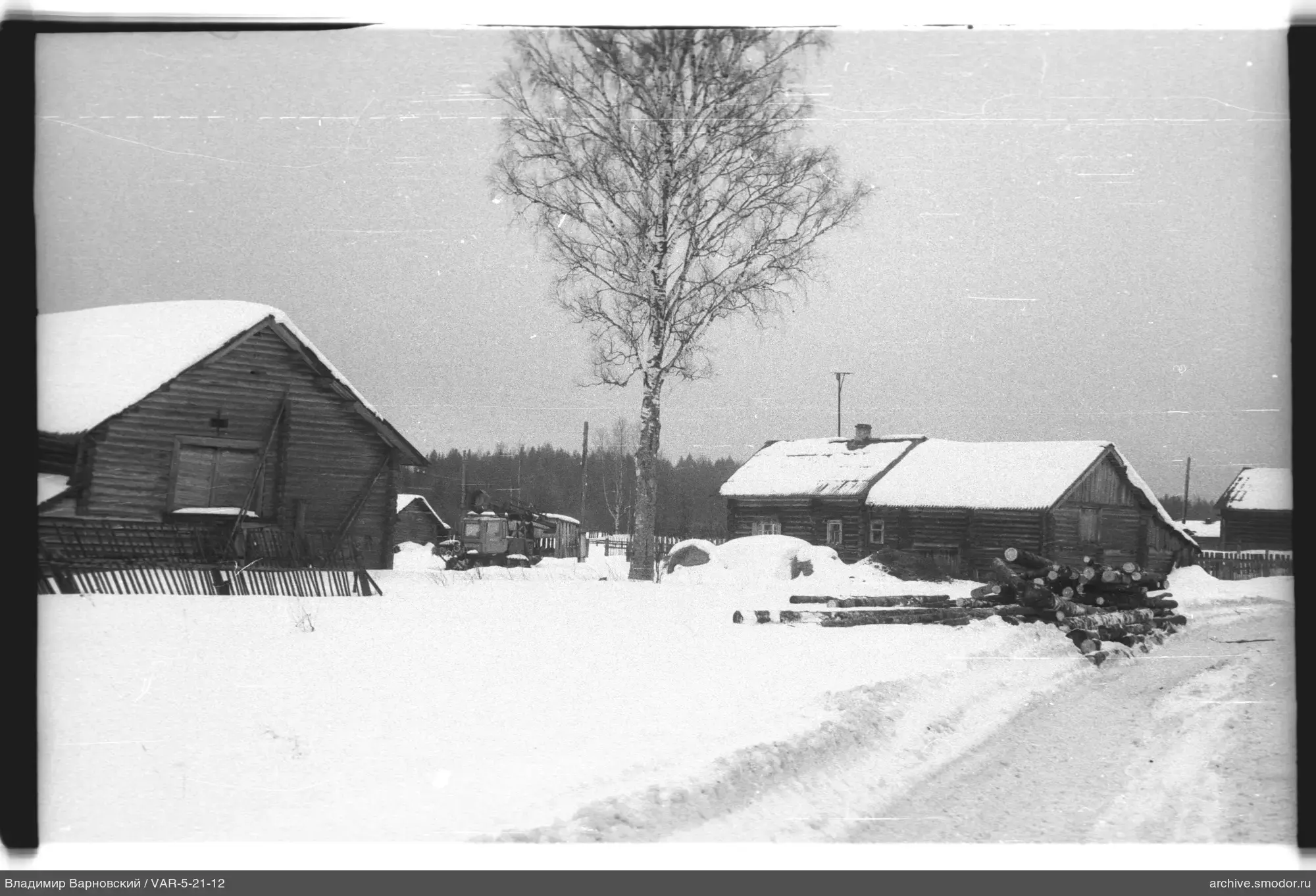 Holzhäuser und Birke