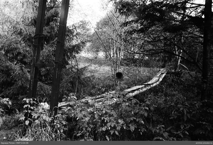 Hängende Holzbrücke im Wald