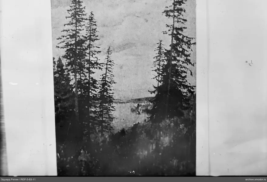 Landschaft mit Bäumen und Wasser