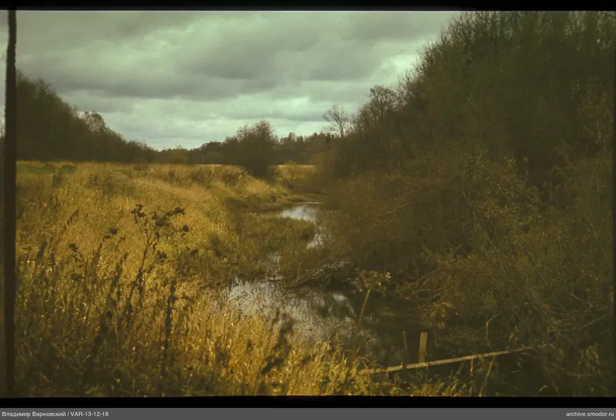 Winding stream with dry grass and shrubs