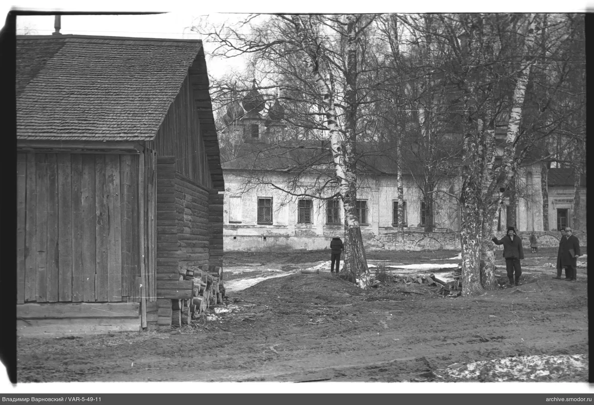 Holzgebäude und drei Birken