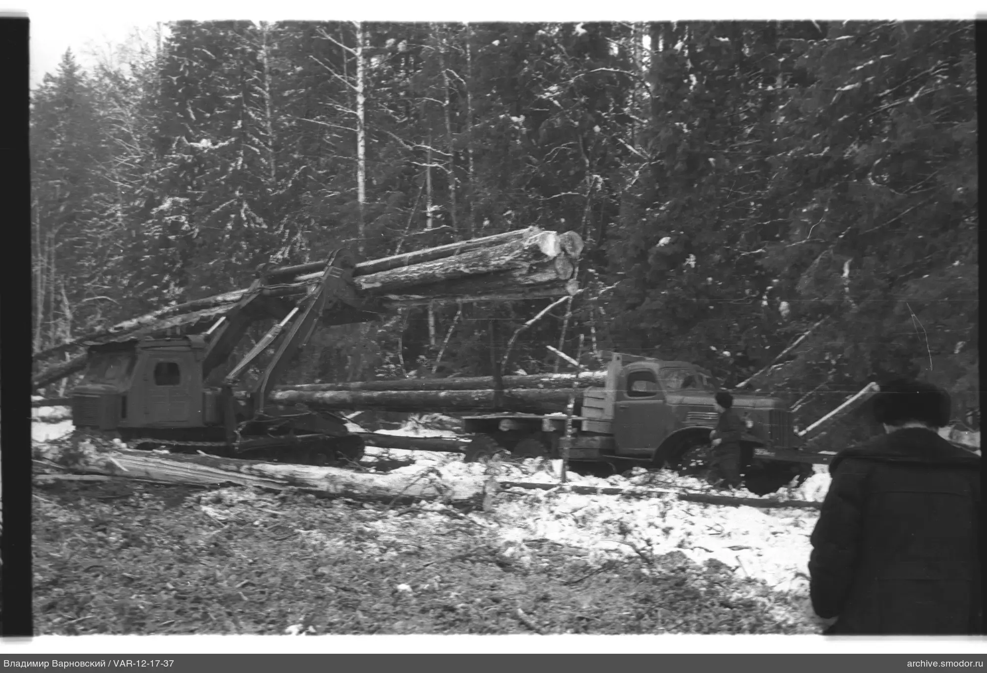 Holzernte auf verschneiter Waldlichtung