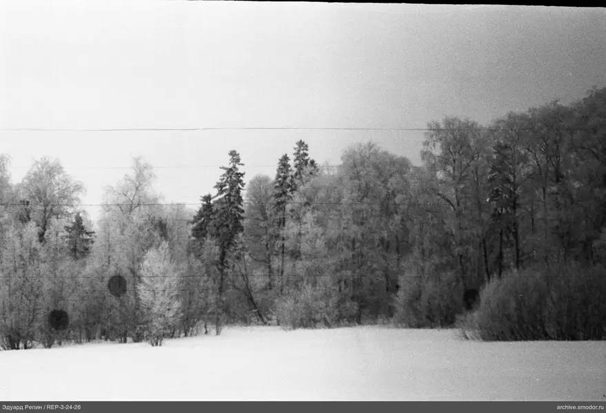 Schneebedecktes Feld und laubloser Wald