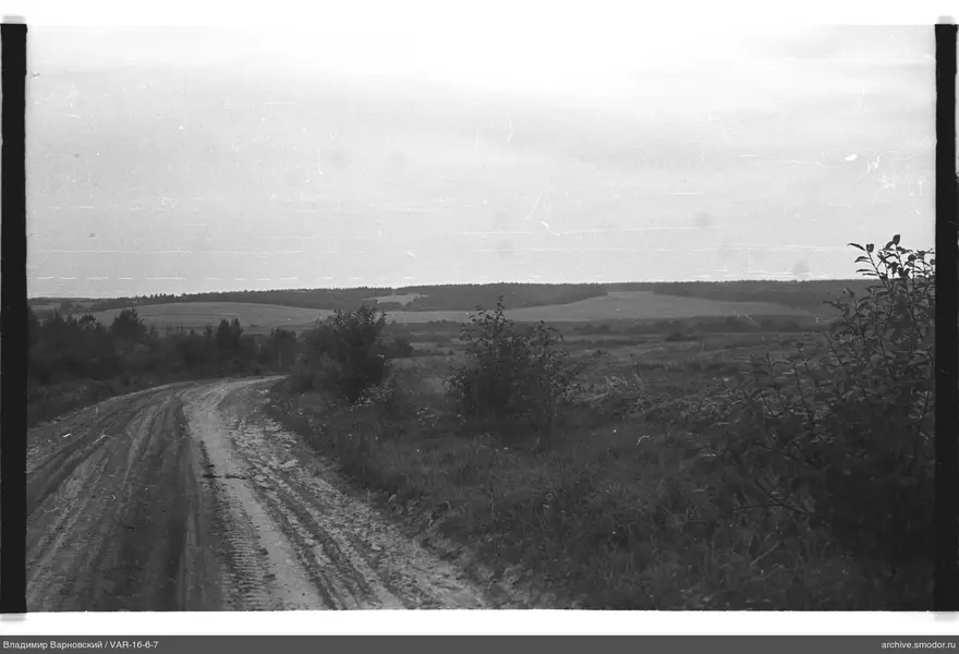 Schotterstraße vor Feldern und Wald