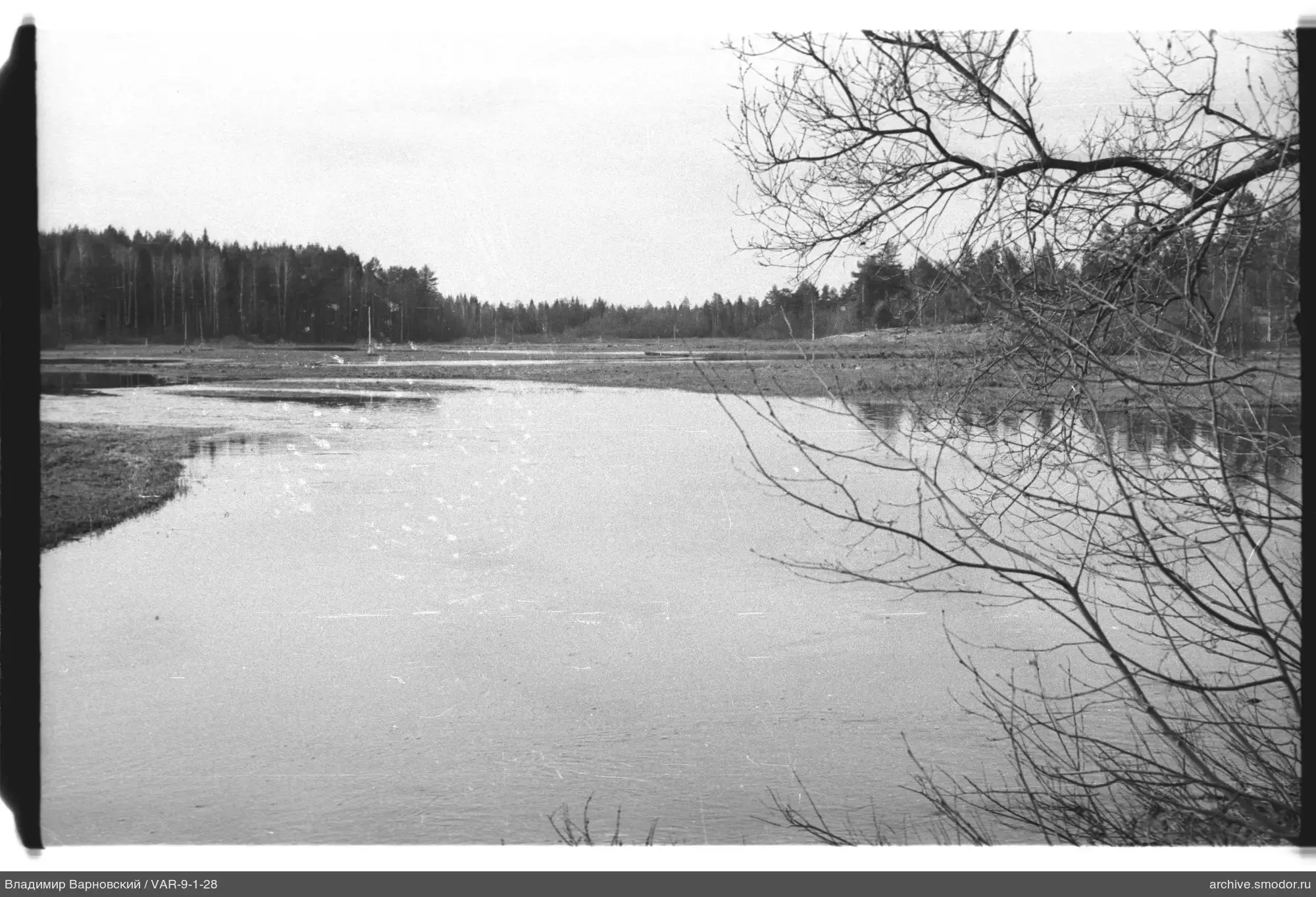 River with eroded banks and trees