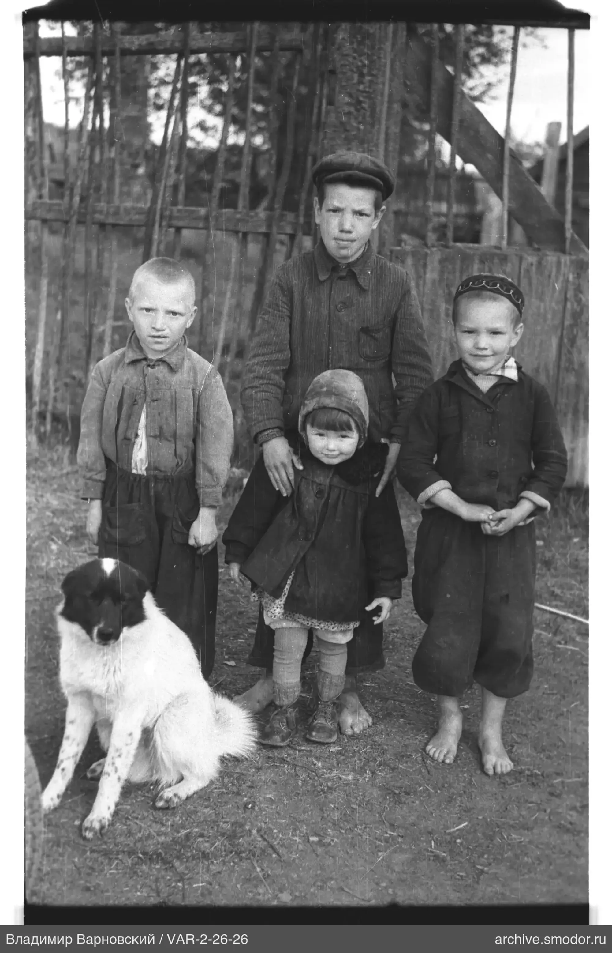 Gruppe von Kindern und Hund