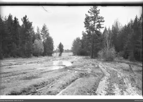 VAR-15-44-16