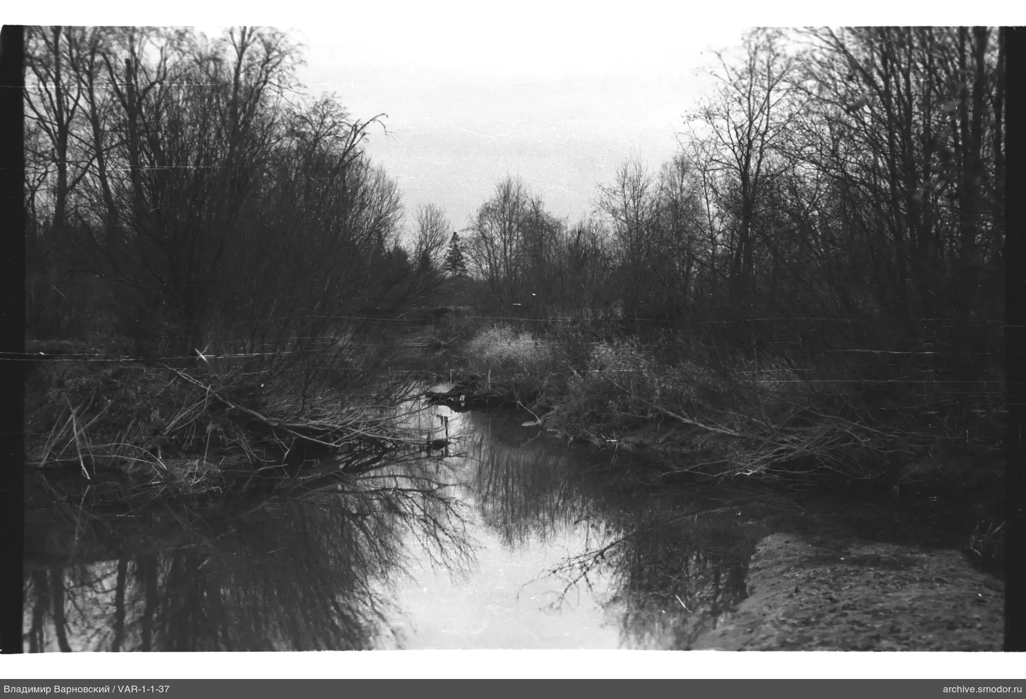Teich im Wald