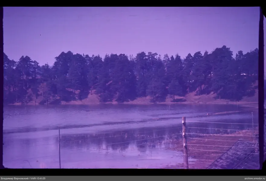 View of water surface and forest