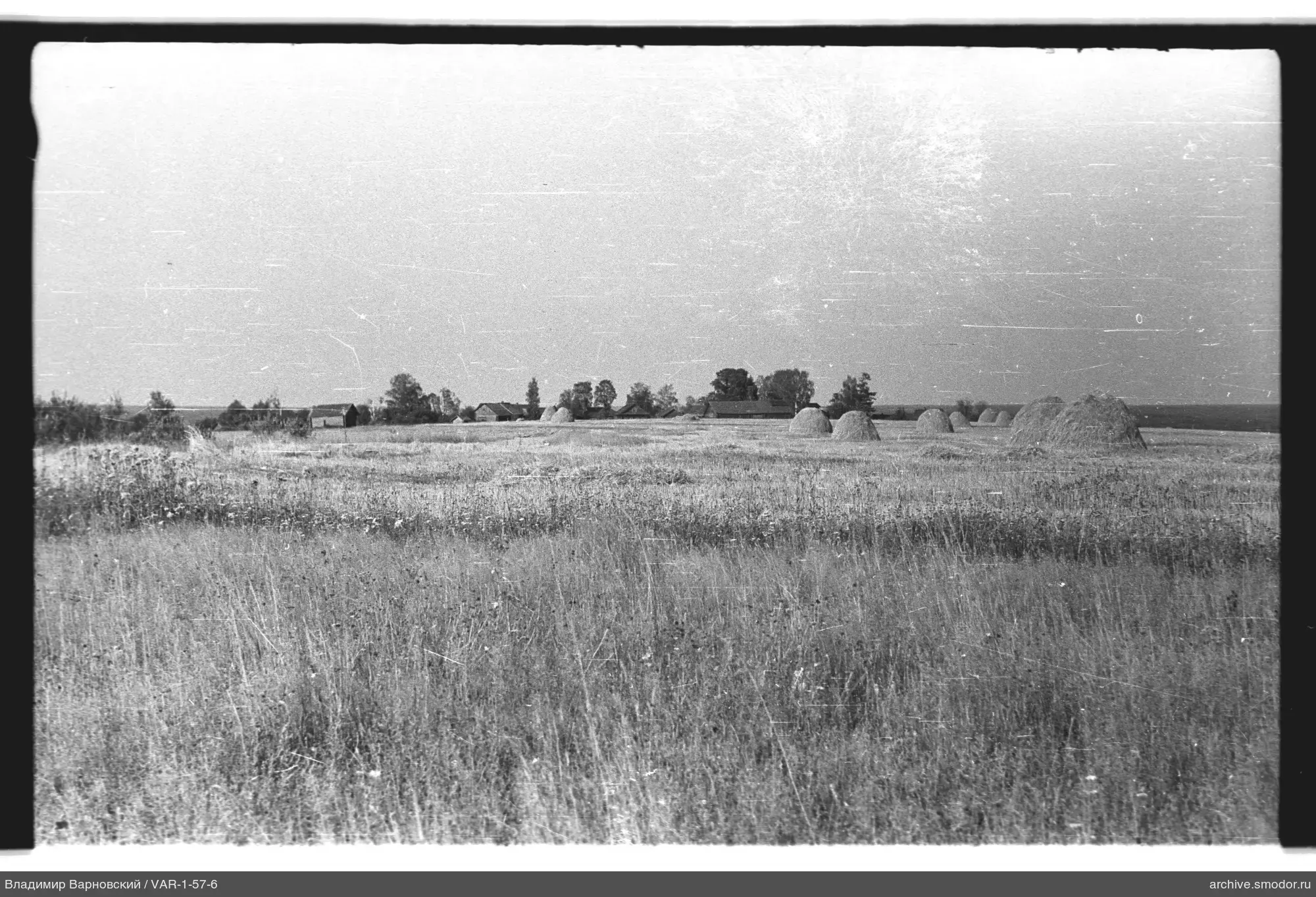 Feld mit Heuhaufen und Bäumen im Hintergrund