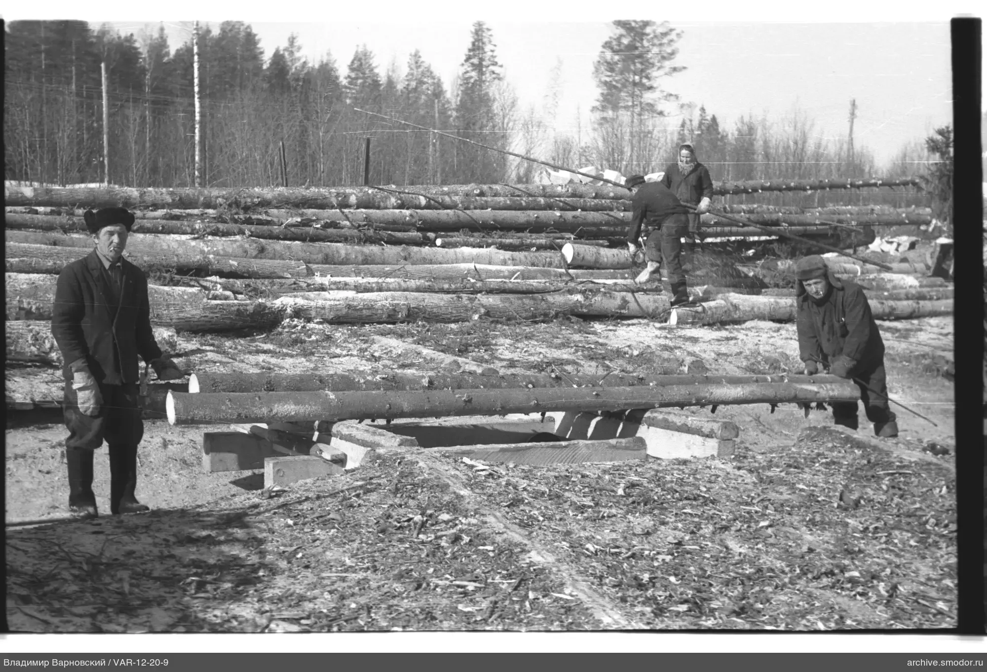 People working with logs at a sawmill