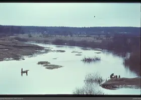 VAR-13-45-10
