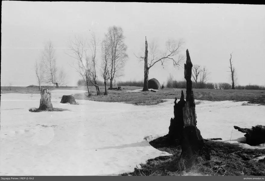 Landschaft mit Baumstümpfen und Person im Feld
