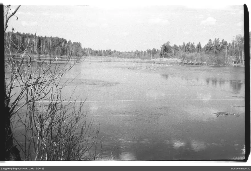 Вид на водное пространство и лес