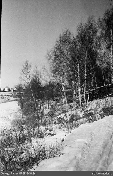 Verschneiter Hang mit Birken und Weg