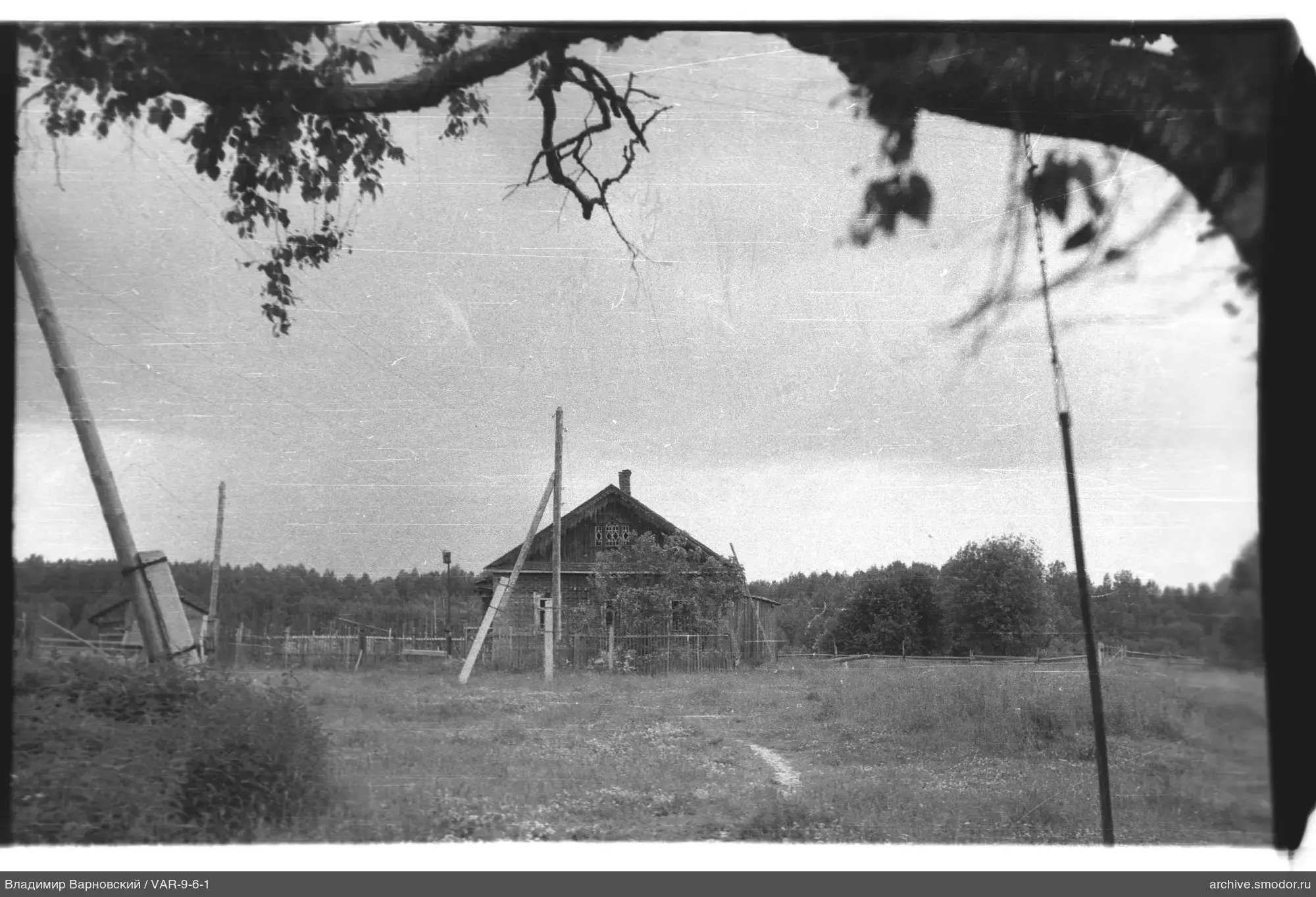 Wooden house with fence and forest