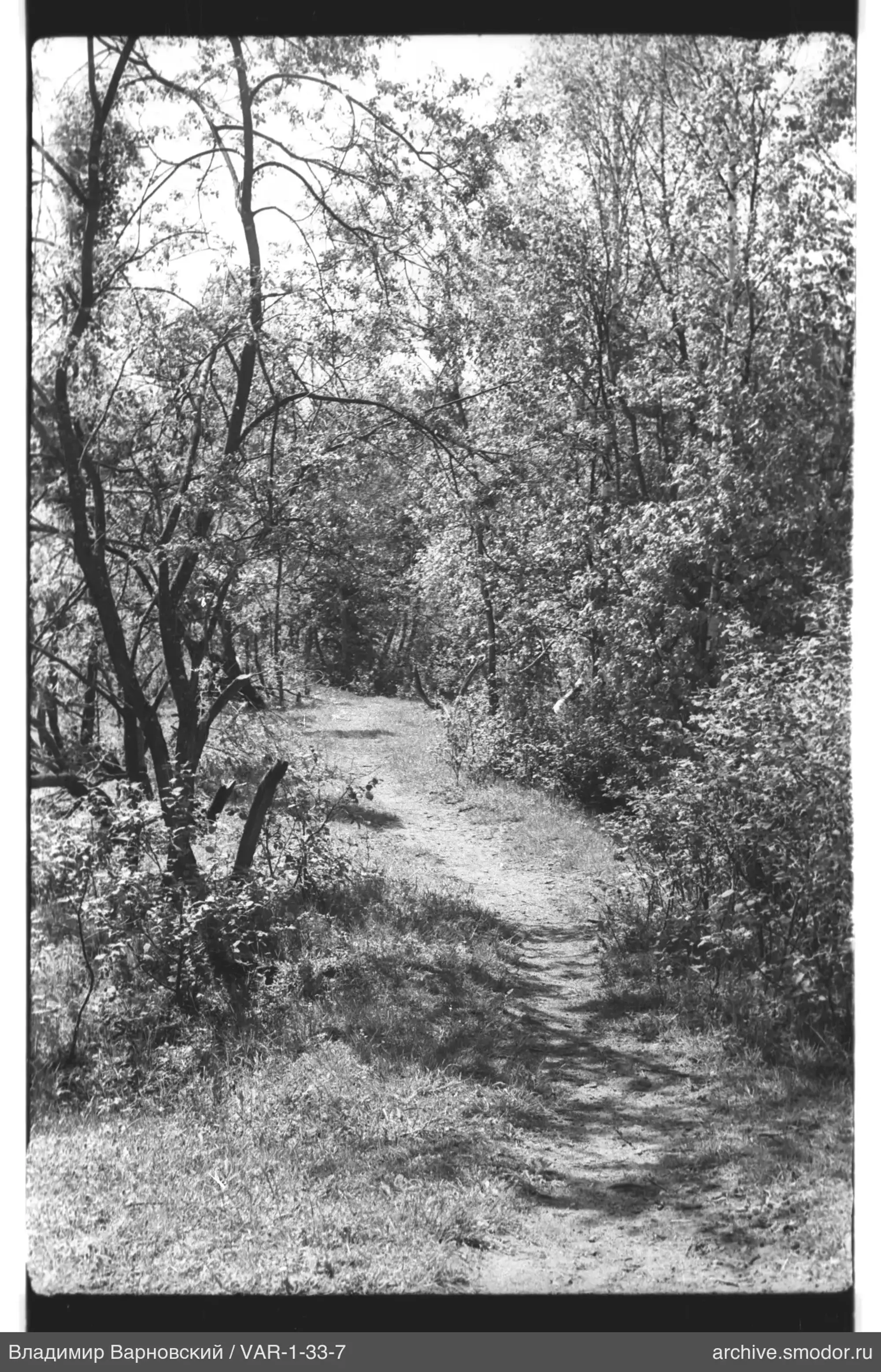 Unbefestigter Weg im Wald