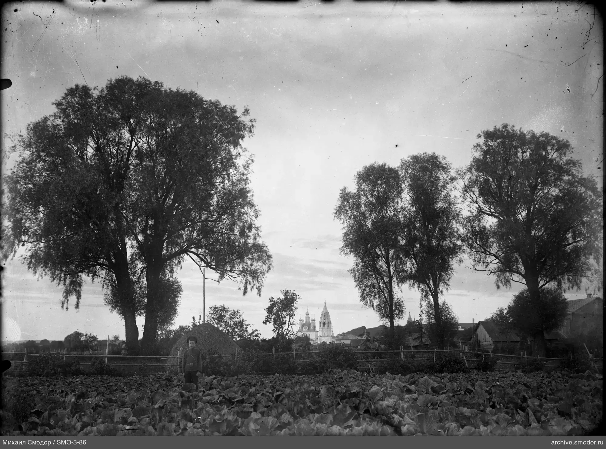 Boy in vegetable garden with church in background