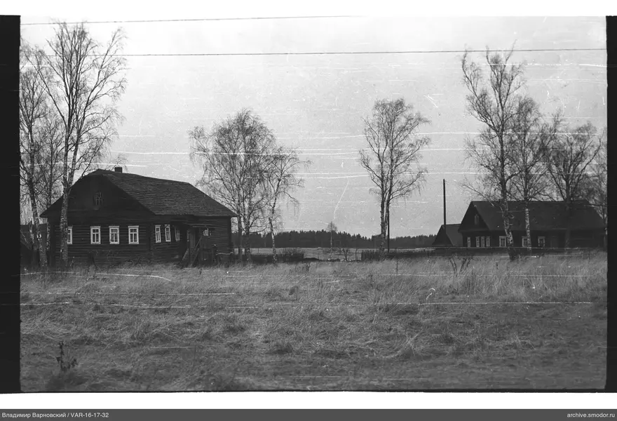 Zwei Holzhäuser bei Birken