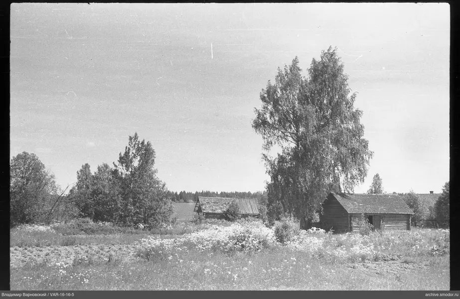 Landschaft mit Holzbauten und blühendem Feld