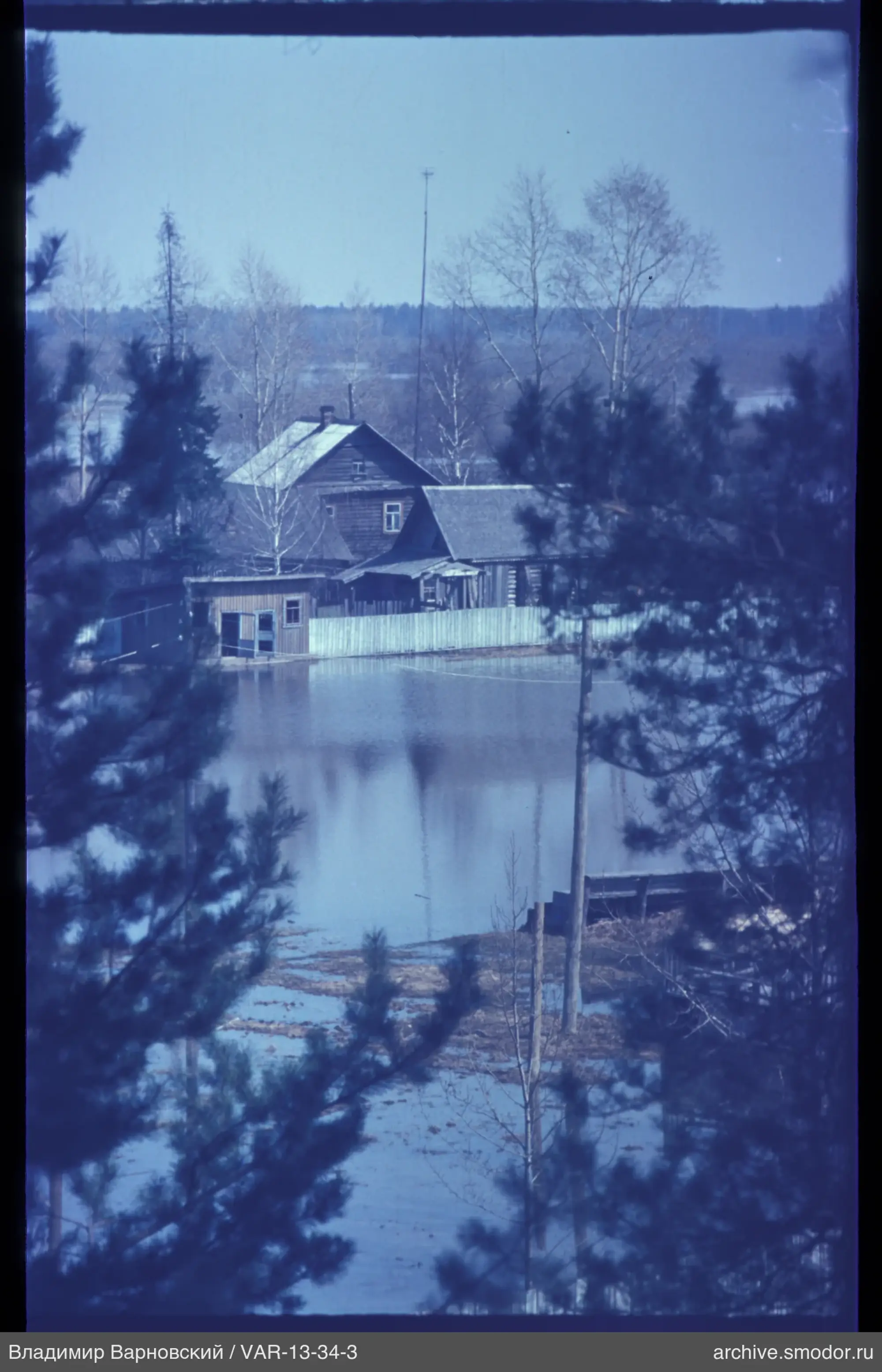 View of trees, house, and water body
