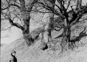 REP-3-52-10