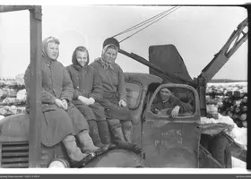 VAR-15-56-8