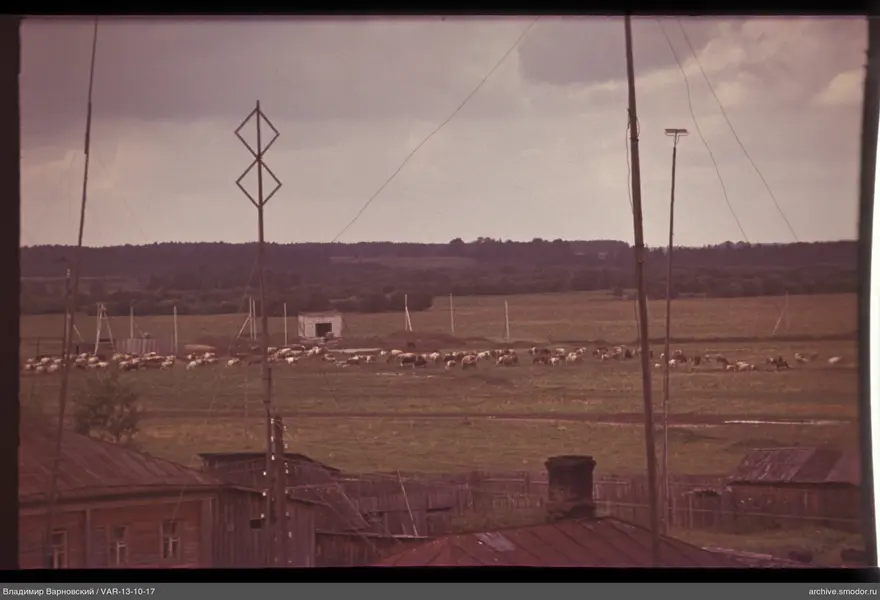 Holzhäuser und Herde auf dem Feld