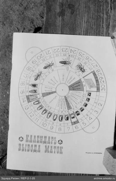 Blatt mit Königinnenzuchtkalender