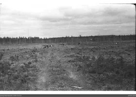 VAR-15-41-9