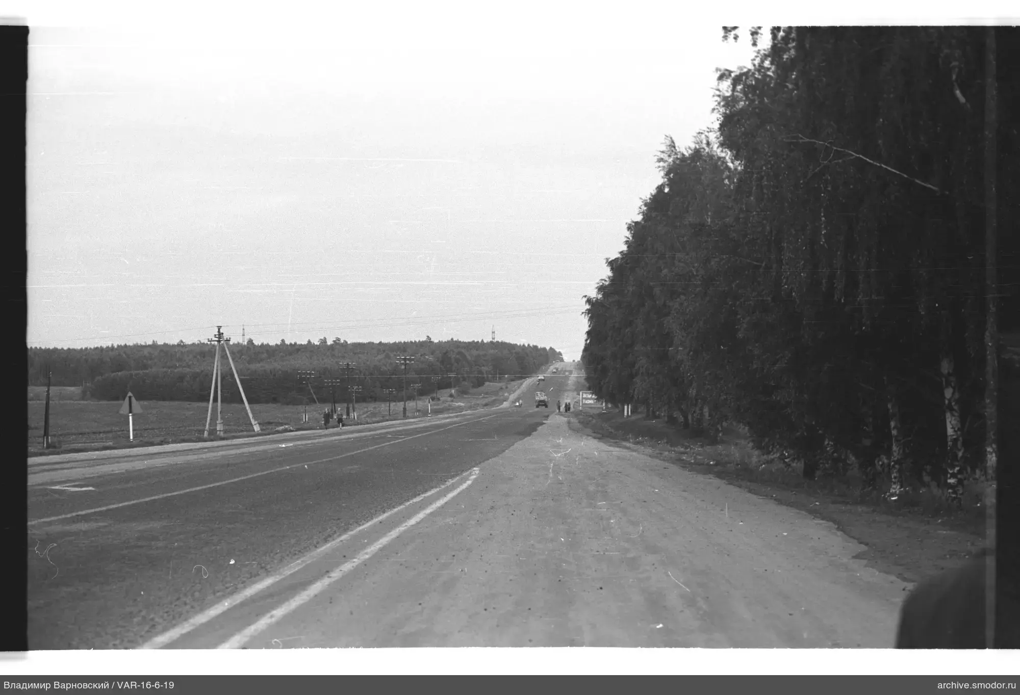 Road with trees and field