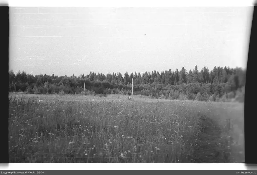 Person im Feld mit Stromleitungen