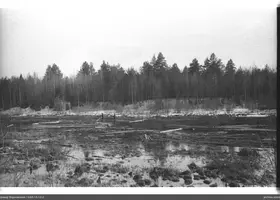 VAR-15-12-2