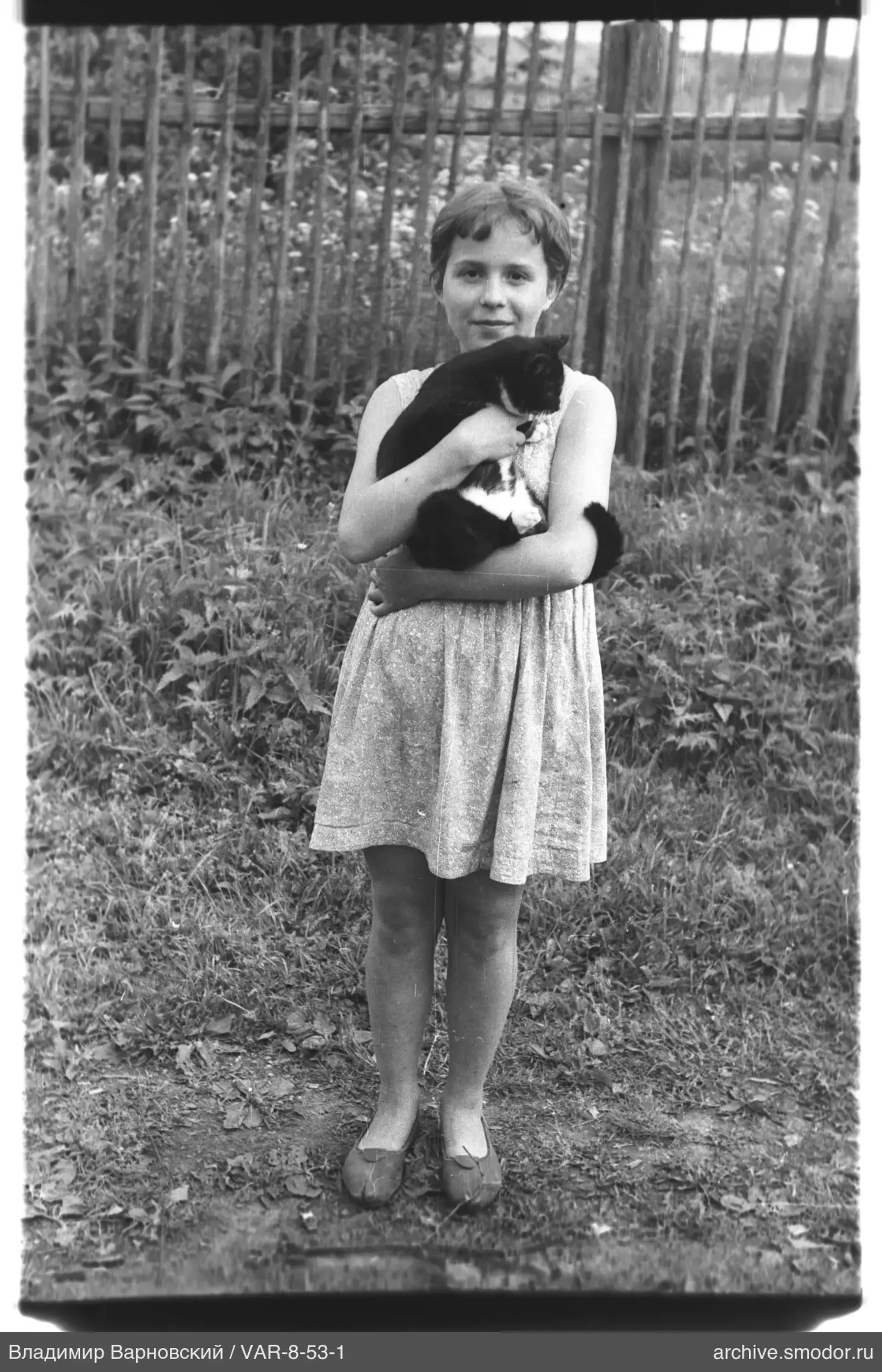 Mädchen mit Katze auf Gras