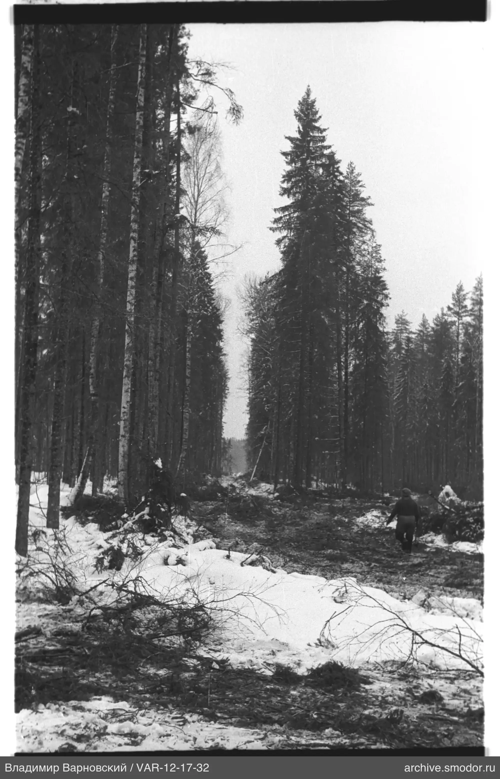 Waldstraße mit Person