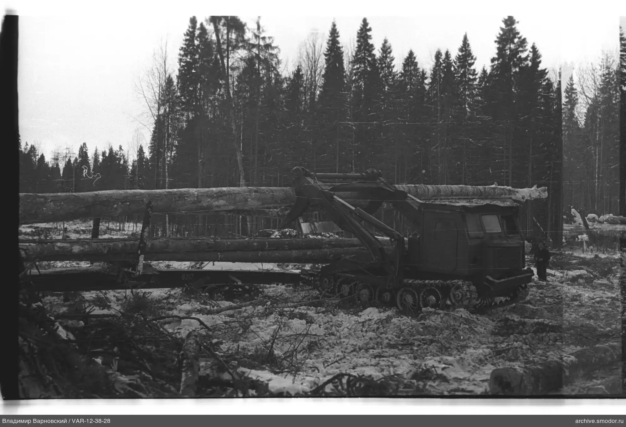 Kettentraktor mit Baumstämmen im Wald