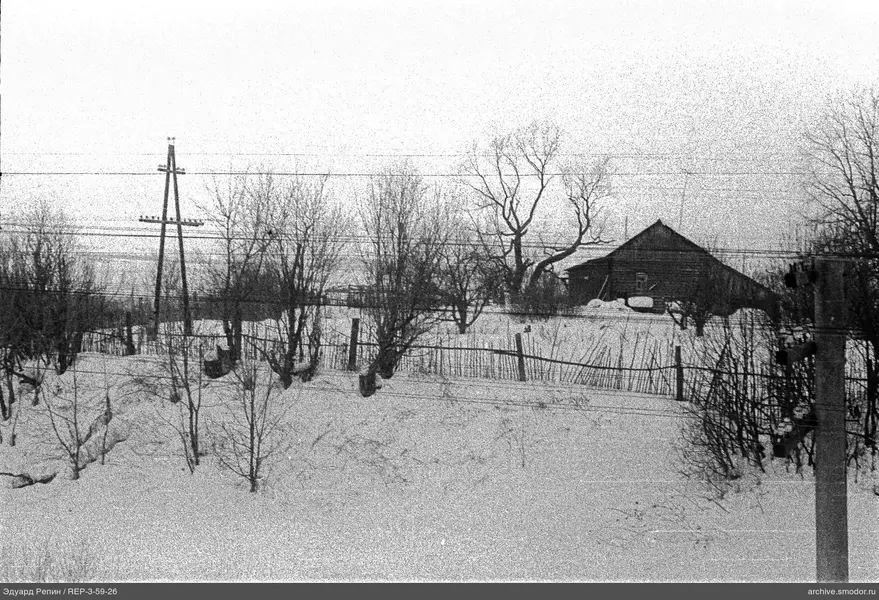 Holzhaus vor blattlosen Bäumen