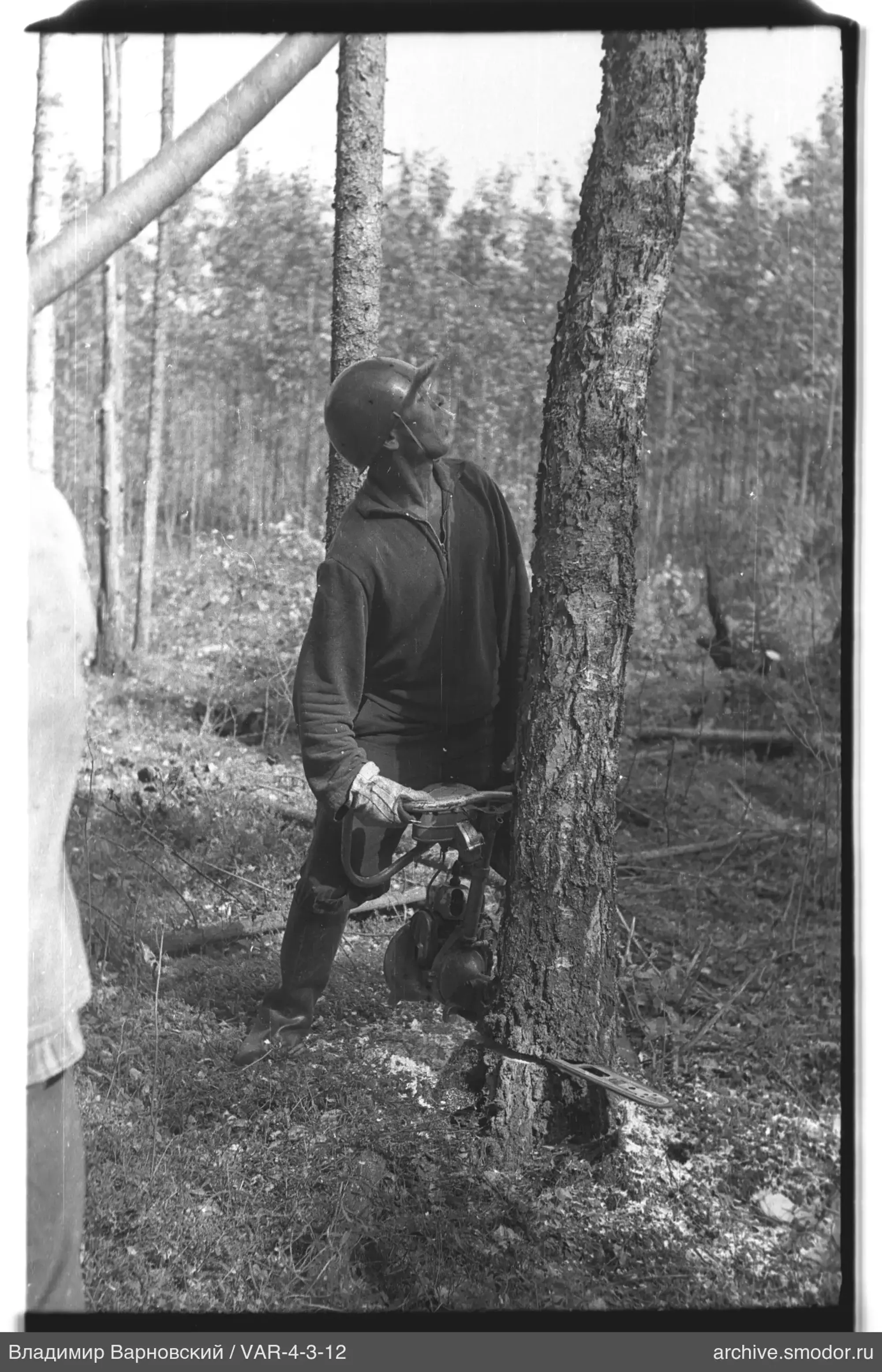 Mann mit Kettensäge am Baum im Wald
