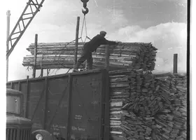 VAR-4-20-9