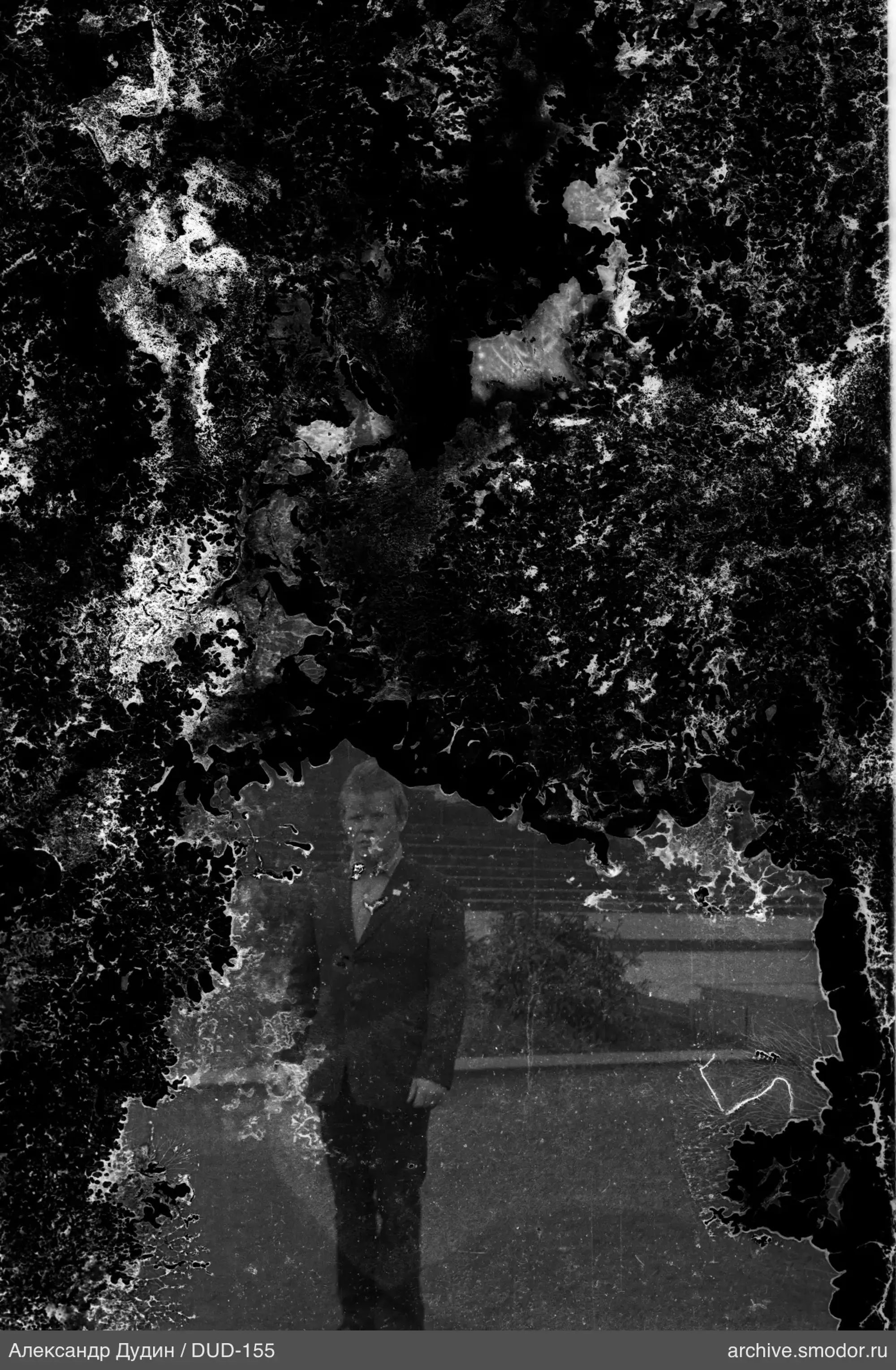 Portrait of a man in a suit
