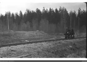 VAR-15-41-11