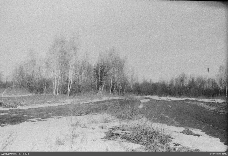 Landschaft mit Bäumen und Drachen